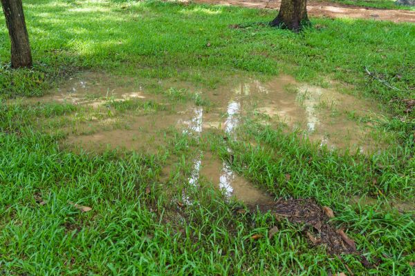 Cost of Storm Water Drainage Service in Mount Vernon