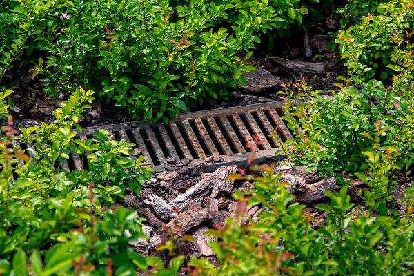 Cost of Underground Drainage Service in Mount Vernon