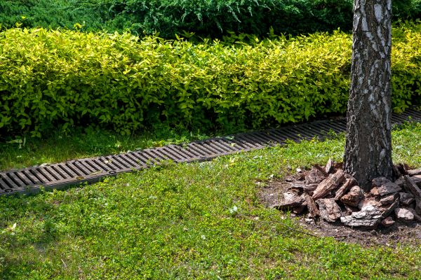 Cost of Residential Landscape Drainage in Mount Vernon