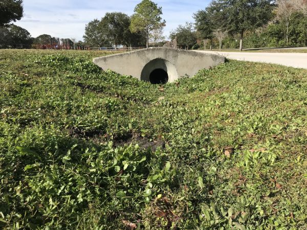 Cost of Swale Drainage Service in Mount Vernon